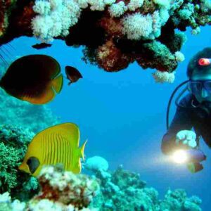Scuba Diving  in Goa
